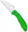 Spyderco Salt 2 Wharncliffe Knife Green FRN (3" Satin) C88FPWCGR2