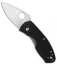 Spyderco Ambitious Knife (2.25" Satin) C148GP