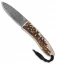 LionSteel Opera Gentleman's Lock Back Knife Stag (2.875" Damascus)