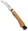 Antonini Old Bear Mushroom Knife Medium Olive Wood (3.2" Satin)