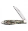 Case Abalone Teardrop 3.5" Traditional Pocket Knife  12016