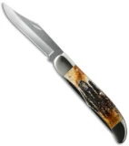 Case Folding Hunter Knife 5.25" Bone Stag (6.5265 SS) 03574