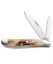Case Peanut Knife 2.75" Stag (5220 SS) 00048