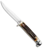 Bear & Son Hunter Fixed Blade Knife India Stag (3.125" Satin) 563