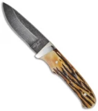 Bear Cutlery Damascus India Stag Bone Pro Skinner Knife (3.625" Plain) 549D