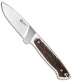 Boker Arbolito Dano Hunter Stag Fixed Blade Knife (4" Satin) 02BA325HH