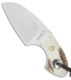 Boker VoxKnives Gnome Stag Fixed Blade Knife (2.125" Satin) 02BO268