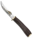 Case Pheasant Hunter Fixed Blade Knife Buffalo Horn (3.25" Mirror) 17917