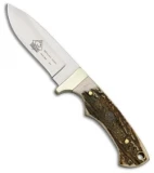 Puma SGB Blacktail Fixed Blade Knife Stag (3.25" Satin) 6530040