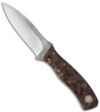 Fiddleback Forge ASP Knife Maple Burl (3.75" Satin)