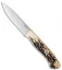 Bark River Knives Aurora LT Bushcraft Knife Antique Stag (4.5" Satin)